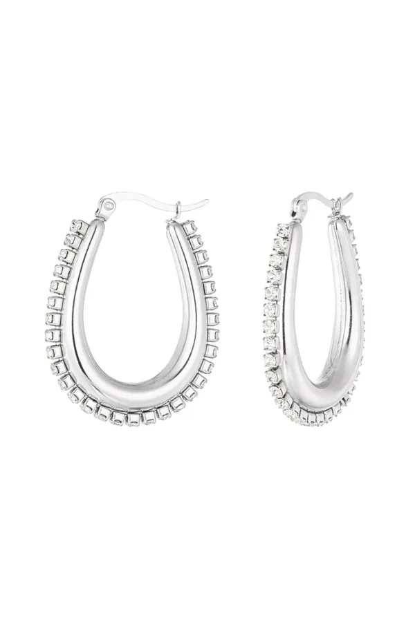 291437-118 Oorbel Silver Serenity